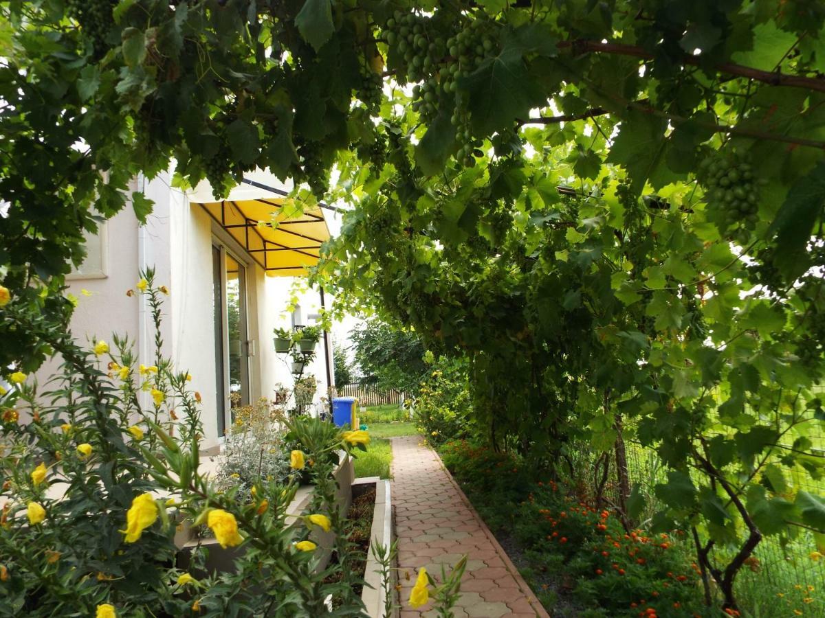 Casa Dany Hotel Corbu  Ngoại thất bức ảnh